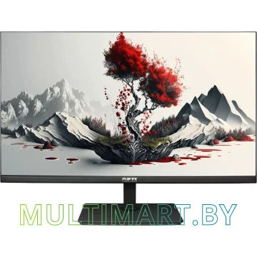 Монитор RDW Computers RDW2401K